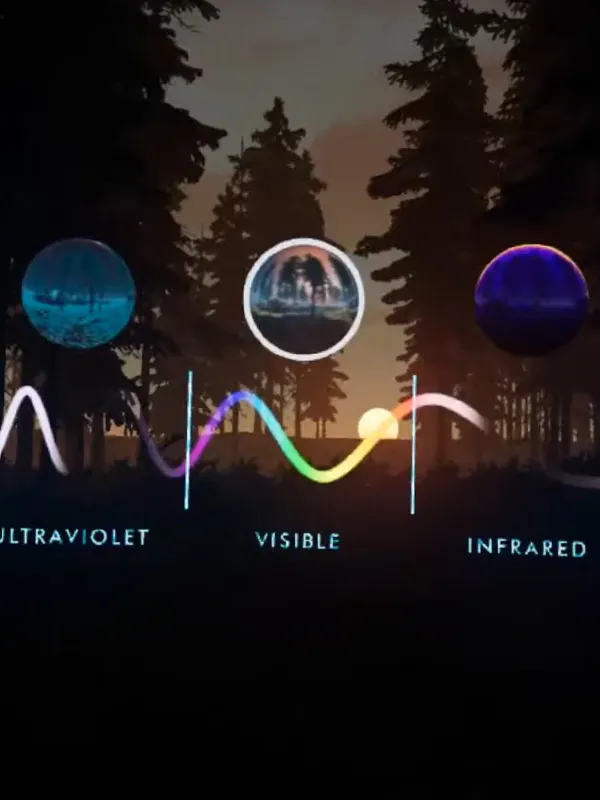 Oika - Oculus - Image 1